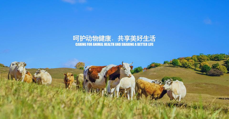 厅答兽药